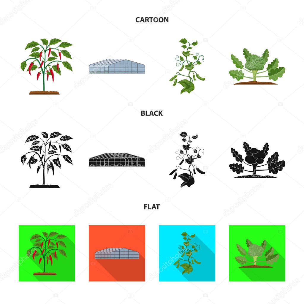 Isolated object of greenhouse and plant icon. Collection of greenhouse and garden vector icon for stock.
