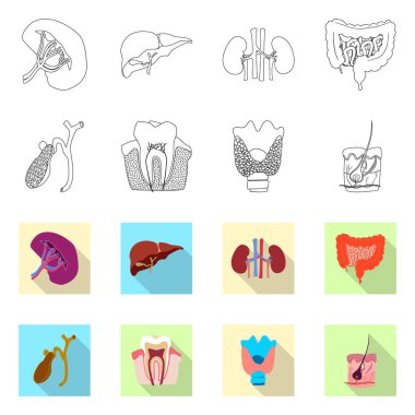 Vücut ve insan logo vektör çizimi. Vücut ve hisse senedi için tıbbi vektör ikon koleksiyonu.