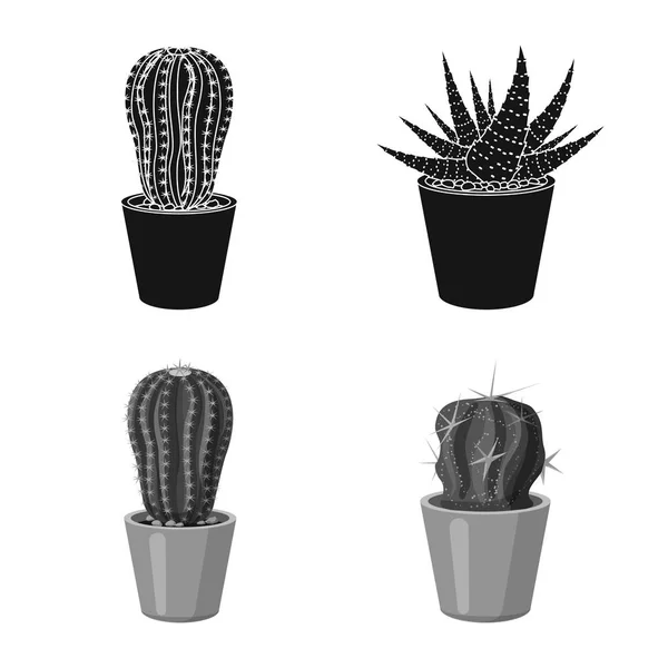 Illustration vectorielle du cactus et du symbole du pot. Collection d'icônes vectorielles cactus et cactus en stock . — Image vectorielle