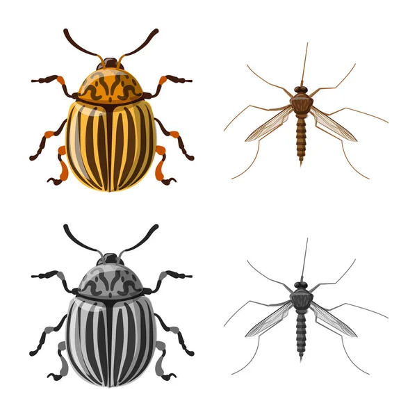 Geïsoleerde object van insecten en vliegen symbool. Set insect en element voorraad vectorillustratie. — Stockvector