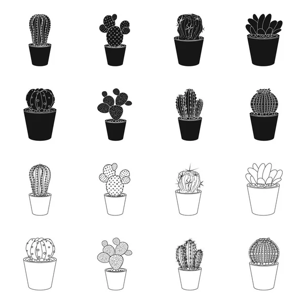 Diseño vectorial de cactus e ícono de maceta. Conjunto de cactus y cactus símbolo de stock para web . — Archivo Imágenes Vectoriales