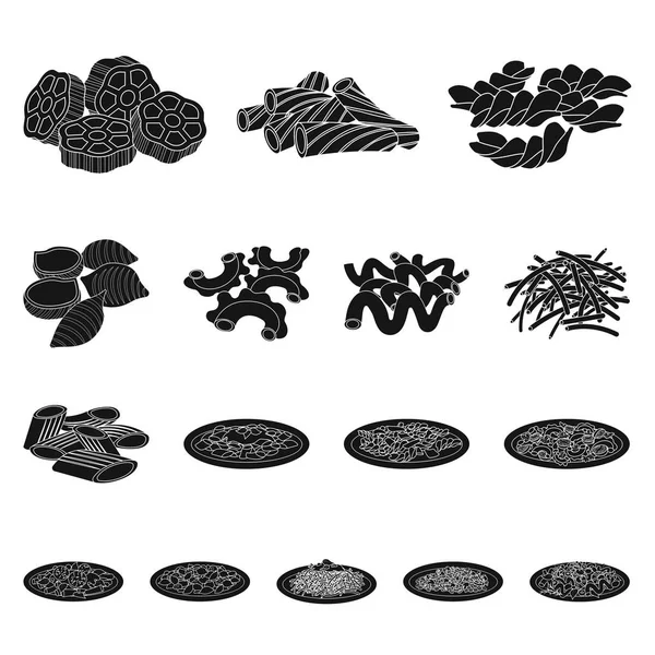 Vektorillustration von Pasta und Kohlenhydrat-Logo. Sammlung von Nudeln und Makkaroni Aktiensymbol für Web. — Stockvektor