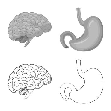 Vücut ve insan simge vektör çizimi. Vücut ve web için tıbbi hisse senedi simgesi.