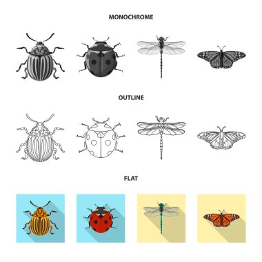 Böcek ve sinek sembolü yalıtılmış nesne. Böcek ve öğe hisse senedi vektör çizim topluluğu.