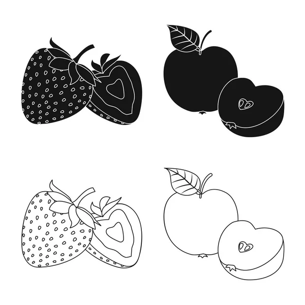 Ilustração vetorial do símbolo vegetal e frutífero. Coleção de vegetais e vegetariano estoque vetor ilustração . — Vetor de Stock