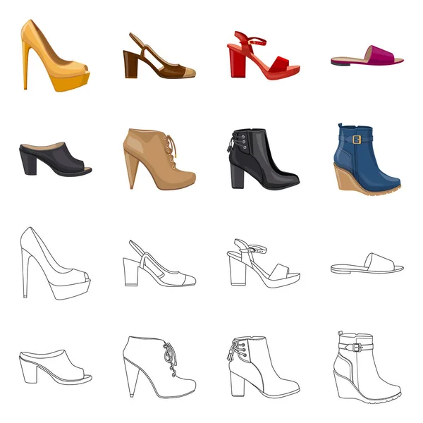 Vector ontwerp van schoeisel en vrouw pictogram. Set van schoeisel en voet voorraad vectorillustratie. — Stockvector