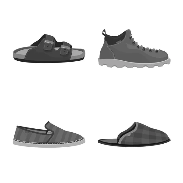 Vektorillustration av sko och skodon tecken. Samling av skon och foten vektor ikonen för lager. — Stock vektor