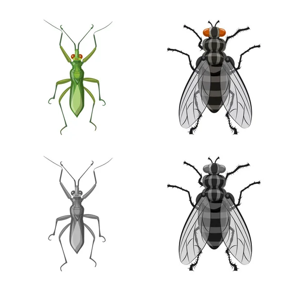 Vektorillustration von Insekten- und Fliegensymbol. Set von Insekten- und Elementlagersymbol für das Netz. — Stockvektor