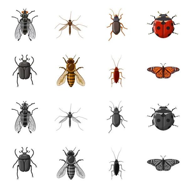 昆虫とフライのシンボルのベクター デザイン。昆虫と要素の株式ベクトル イラスト集. — ストックベクタ