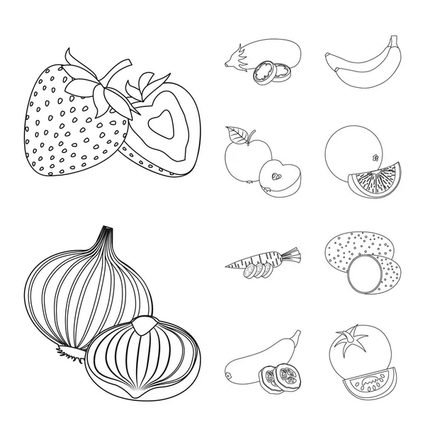 Isolated object of vegetable and fruit sign. Collection of vegetable and vegetarian stock vector illustration. — Stock Vector