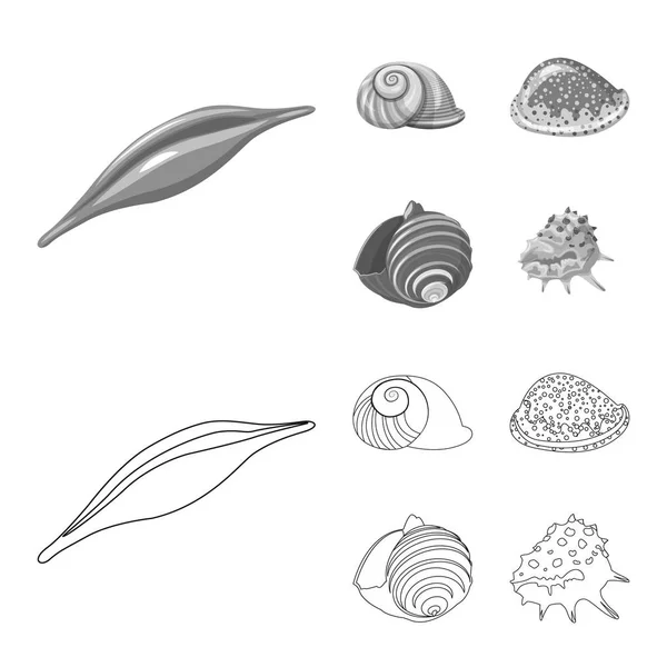 Geïsoleerde object van dier en decoratie symbool. Set van dier en Oceaan voorraad vectorillustratie. — Stockvector