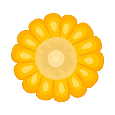 Mısır ve cob logo vektör tasarımı. Mısır ve web için sıcak hisse senedi simgesi.