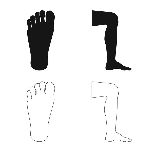 Geïsoleerde object van menselijke en deel teken. Set van mens en vrouw vector pictogram voor voorraad. — Stockvector