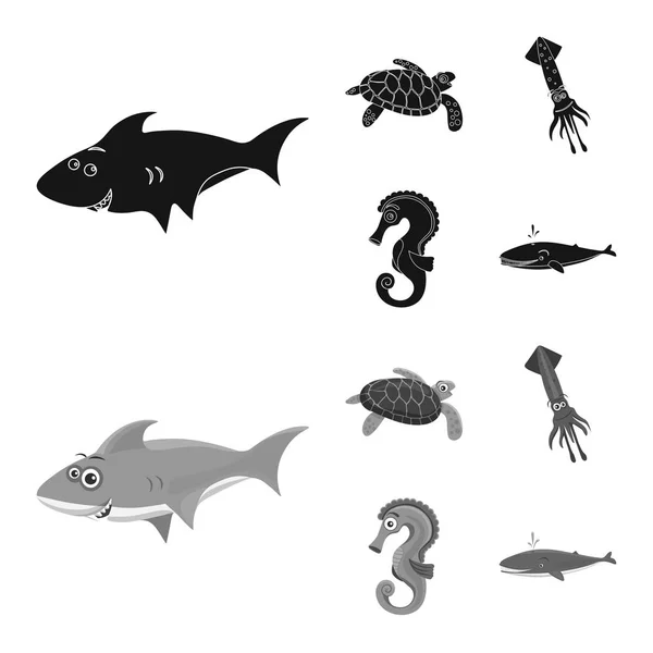 Elkülönített objektum tenger és állati logó. Gyűjtemény a tenger és a tengeri tőzsdei szimbólum a web. — Stock Vector