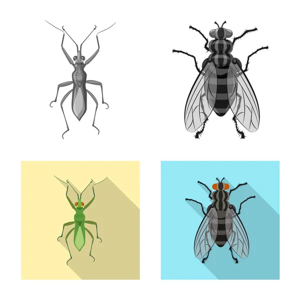 Diseño vectorial del símbolo de insectos y moscas. Colección de insectos y elemento vector icono para stock . — Archivo Imágenes Vectoriales