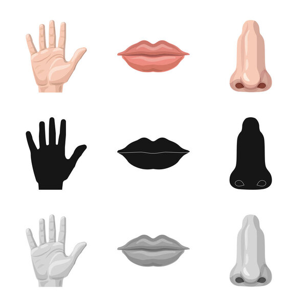 Vector design of human and part sign. Collection of human and woman stock symbol for web.