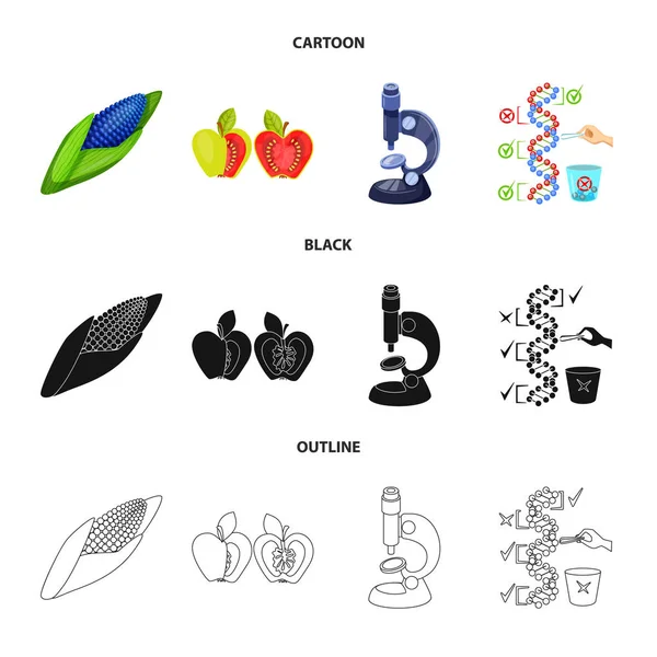 Conception vectorielle de test et icône synthétique. Jeu de symbole de stock d'essai et de laboratoire pour la toile . — Image vectorielle