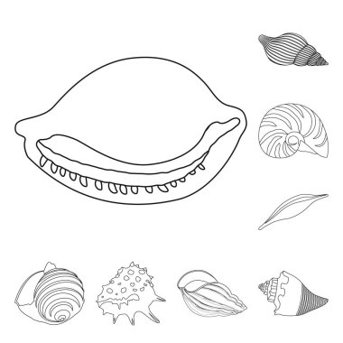 Egzotik ve deniz ürünleri logo vektör tasarımı. Hisse senedi için egzotik ve su vektör simge kümesi.