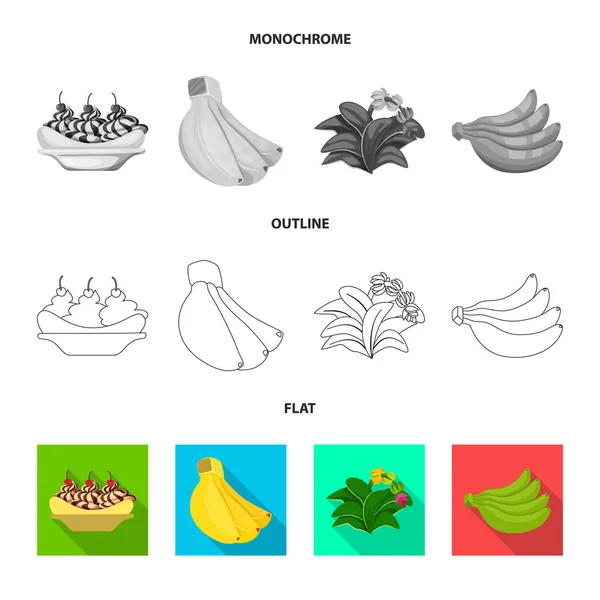 Objeto aislado de signo natural y vegetariano. Conjunto de icono de vector natural y de comer para la acción . — Archivo Imágenes Vectoriales