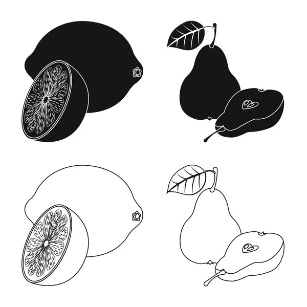 Objet isolé de légume et de fruit icône. Ensemble d'illustration vectorielle de légumes et de bouillon végétarien . — Image vectorielle