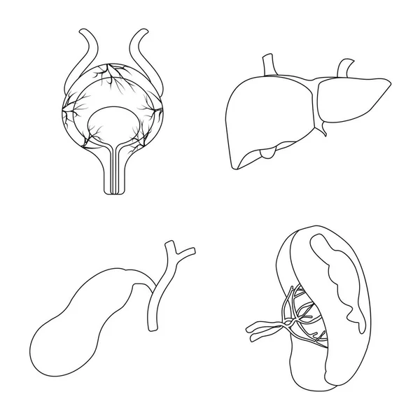 Oggetto isolato di corpo e simbolo umano. Set di illustrazione vettoriale corpo e stock medico . — Vettoriale Stock