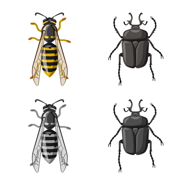Design vettoriale del simbolo di insetti e mosche. Raccolta di illustrazione vettoriale di insetti ed elementi . — Vettoriale Stock
