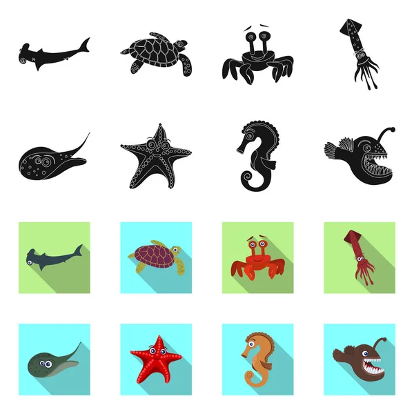 Diseño vectorial del icono del mar y los animales. Conjunto de símbolo de stock marino y marino para web . — Vector de stock