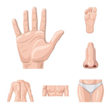 İnsan ve yarım işareti vektör Illustration. İnsan kümesi ve hisse senedi için kadın vektör simgesi.