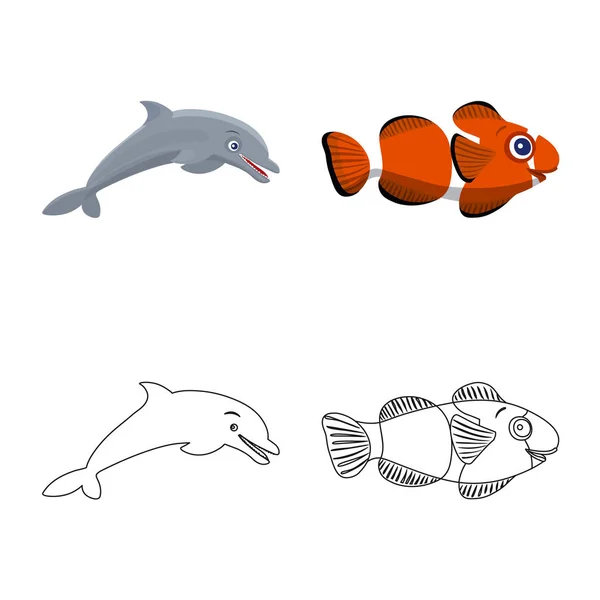 Desenho vetorial do símbolo do mar e dos animais. Coleção de mar e símbolo de estoque marinho de web . — Vetor de Stock