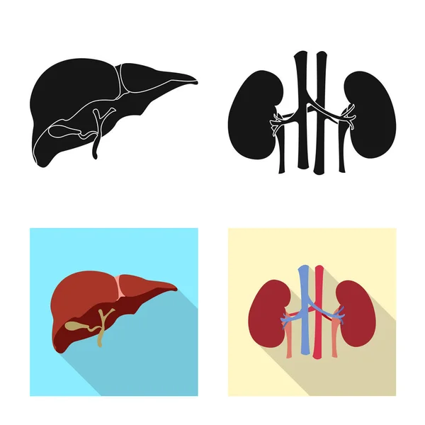 Diseño vectorial de cuerpo y símbolo humano. Conjunto de cuerpo y símbolo de stock médico para web. — Archivo Imágenes Vectoriales