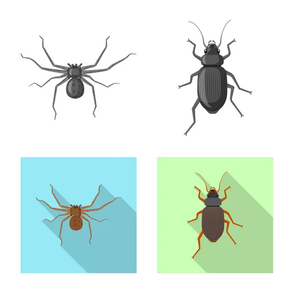 Izolovaný objekt ikony hmyzu a létat. Sada hmyzu a prvek vektorové ilustrace. — Stockový vektor