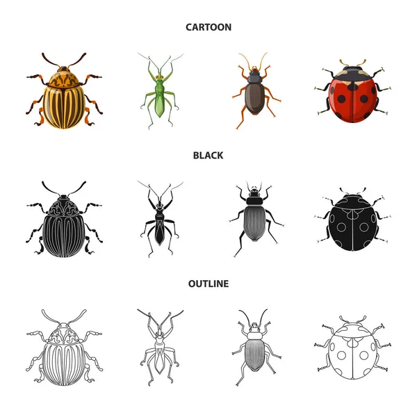 곤충 및 비행 로고의 벡터 그림입니다. 웹에 대 한 곤충과 요소 주식 기호 집합. — 스톡 벡터