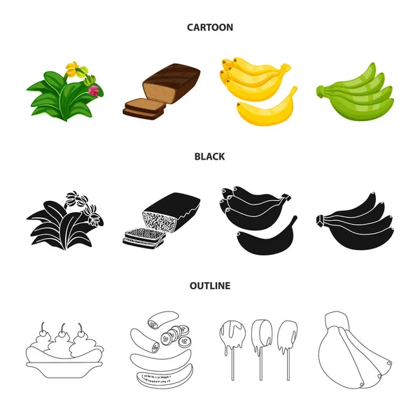 Geïsoleerde object van natuurlijke en vegetarische logo. Set van natuurlijke en eten vector pictogram voor voorraad. — Stockvector