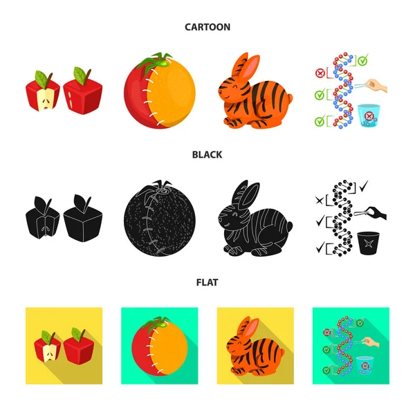 Projeto vetorial de teste e logotipo sintético. Conjunto de teste e ícone de vetor de laboratório para estoque . — Vetor de Stock