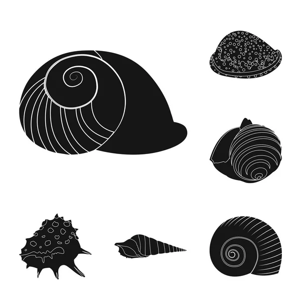 Vector illustratie van de natuur en de oceaan logo. Set van de natuur en mollusk vector icoon voor voorraad. — Stockvector