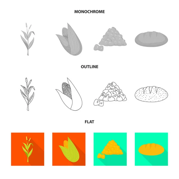 Illustrazione vettoriale del campo di grano e simbolo vegetale. Raccolta di illustrazione vettoriale del campo di grano e dello stock vegetariano . — Vettoriale Stock