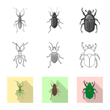 Böcek ve sinek işareti vektör tasarımı. Web için böcek ve öğe hisse senedi simgesi kümesi.