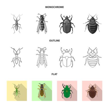 Böcek ve sinek simge vektör tasarımı. Hisse senedi için böcek ve öğe vektör simge kümesi.