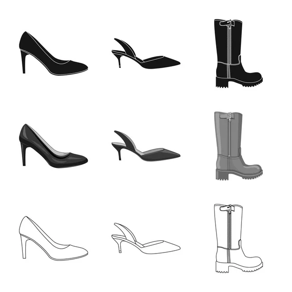 Disegno vettoriale di calzature e segno di donna. Set di calzature e icona vettoriale del piede per stock . — Vettoriale Stock