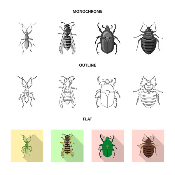 Projekt wektor symbol owadów i mucha. Zbiór owadów i element ikona wektor na magazynie. — Wektor stockowy