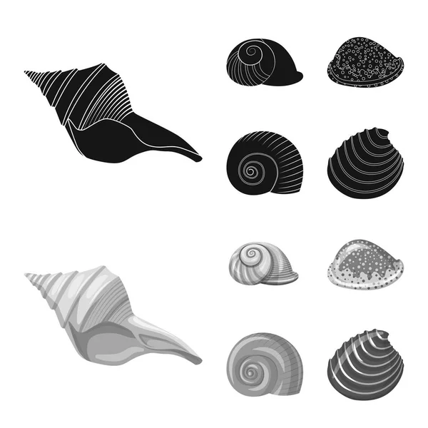 Vektorillustration av djur och dekoration logotyp. Samling av djur- och ocean vektor ikonen för lager. — Stock vektor