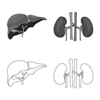 Vücut ve insan simge vektör Illustration. Vücut ve tıbbi hisse senedi vektör çizim koleksiyonu.