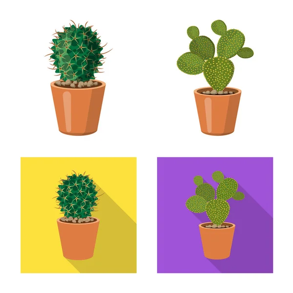 Vector design of cactus and pot sign. Set of cactus and cacti stock vector illustration. — Stock Vector