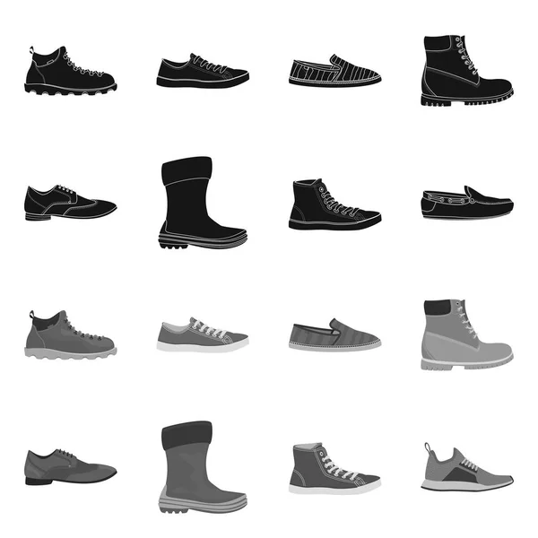 Vektorillustration av sko och skodon tecken. Ställ in i skon och foten lager vektorillustration. — Stock vektor