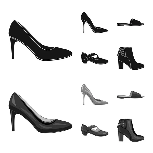 Objeto aislado de calzado y símbolo de mujer. Set de calzado y pie vector icono para stock . — Vector de stock