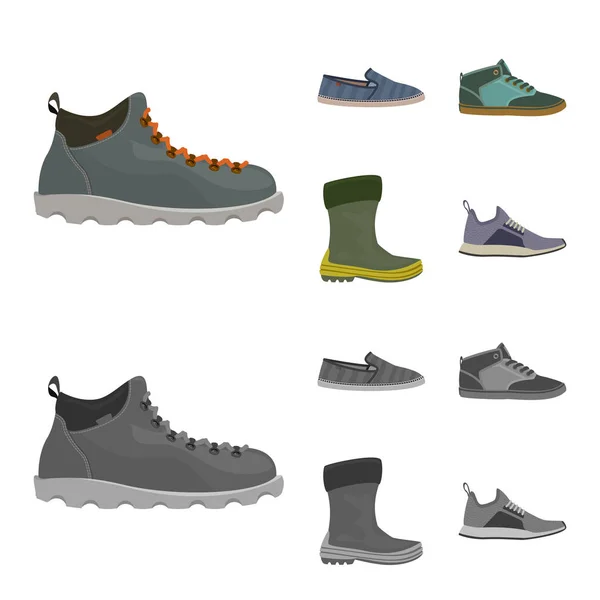 Objeto aislado de zapato y símbolo de calzado. Set de zapato y pie vector icono para stock . — Vector de stock