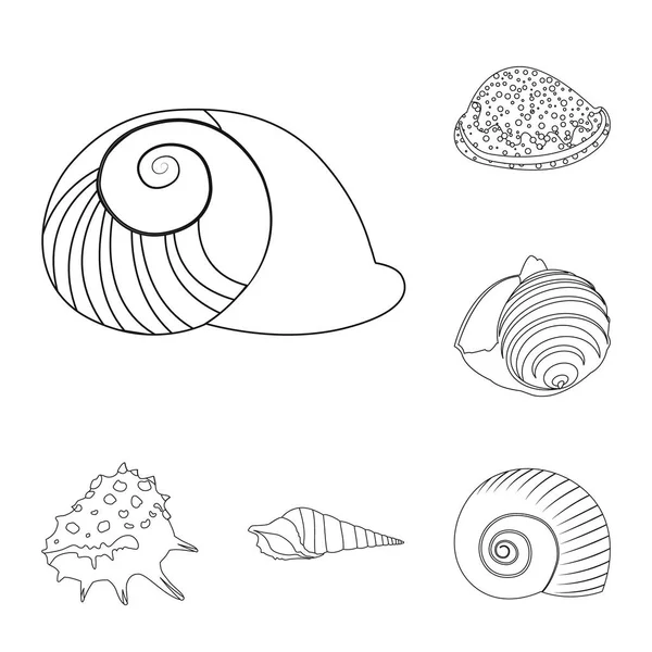 Vectorillustratie van exotische en zeevruchten pictogram. Collectie van exotische en aquatische voorraad vectorillustratie. — Stockvector