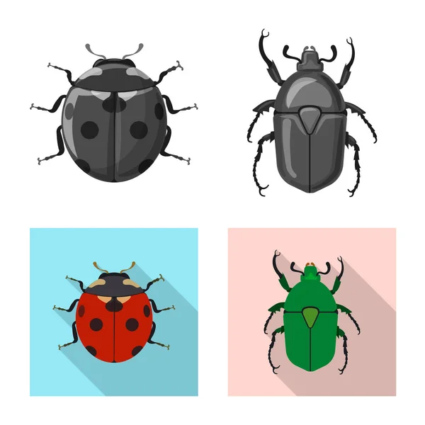 Objeto aislado de insecto y signo de mosca. Conjunto de insecto y elemento símbolo de stock para web . — Vector de stock