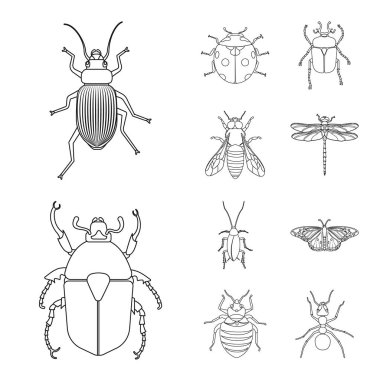 Böcek ve sinek logo vektör tasarımı. Böcek ve öğe hisse senedi vektör çizim seti.