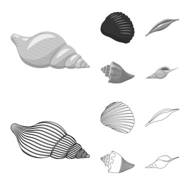 Hayvan ve dekorasyon işareti vektör tasarımı. Hayvan ve okyanus hisse senedi simgesi için web topluluğu.